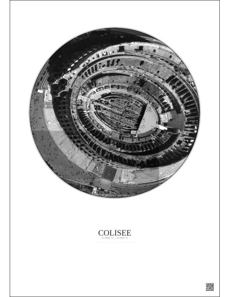 Colisee Satellite View Poster 0.1km B&W | Gravura – Light background