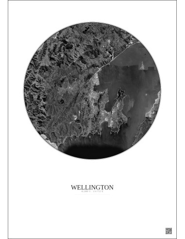Wellington Satellite View Poster 10km B&W | Gravura – Light background