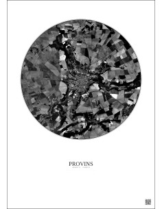Provins Satellite View Poster 5km B&W | Gravura – Light background