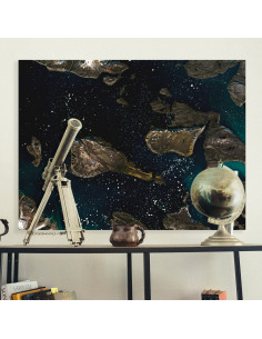 STARWARS — Poster Satellitaire Premium · Gravura 2