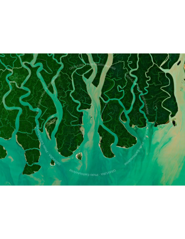 TENTACLES — Satellite Photography Poster · Gravura
