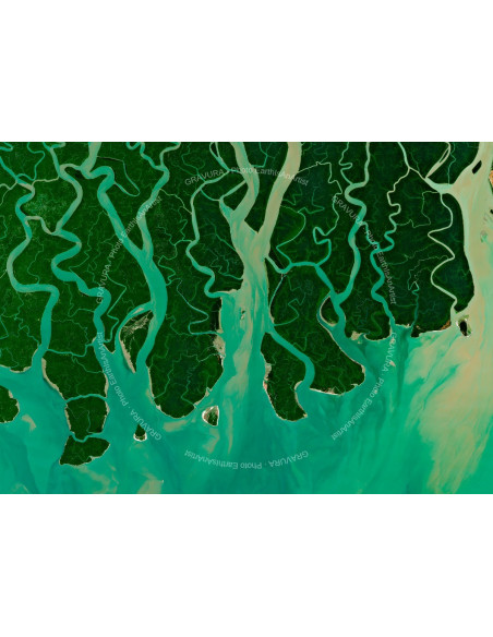 TENTACLES — Satellite Photography Poster · Gravura