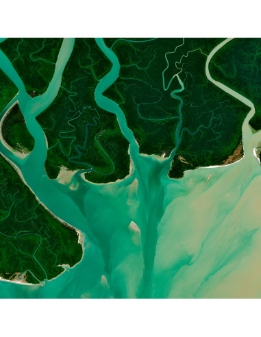 TENTACLES — Satellite Photography Poster · Gravura