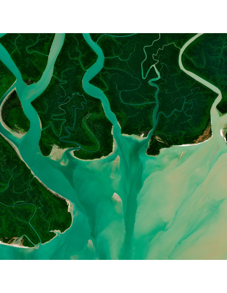 TENTACLES — Satellite Photography Poster · Gravura