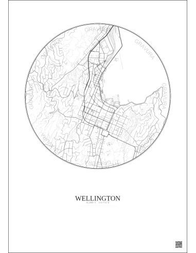 Affiche Wellington – Poster carte de ville 2.5km | Gravura – Fond clair