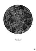 Affiche Vilnius – Poster vue satellite | Gravura – Fond clair