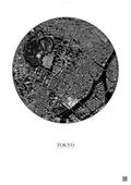 Affiche Tokyo – Poster vue satellite | Gravura – Fond clair