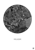 Affiche Singapore – Poster vue satellite | Gravura – Fond clair