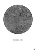 Affiche Bishkek City – Poster vue satellite | Gravura – Fond clair
