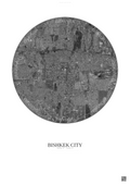 Affiche Bishkek City – Poster vue satellite | Gravura – Fond clair