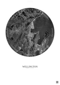 Affiche Wellington – Poster vue satellite | Gravura – Fond clair