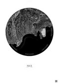 Affiche Nice – Poster vue satellite | Gravura – Fond clair