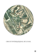 Affiche Circuit International De Lusail – Poster vue satellite 1km Couleur | Gravura – Fond clair