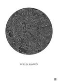 Affiche Forum Romain – Poster vue satellite 20km N&B | Gravura – Fond clair