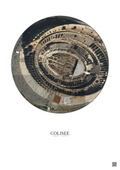 Affiche Colisee – Poster vue satellite 0.1km Couleur | Gravura – Fond clair