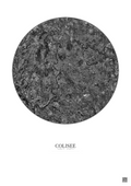 Affiche Colisee – Poster vue satellite 10km N&B | Gravura – Fond clair