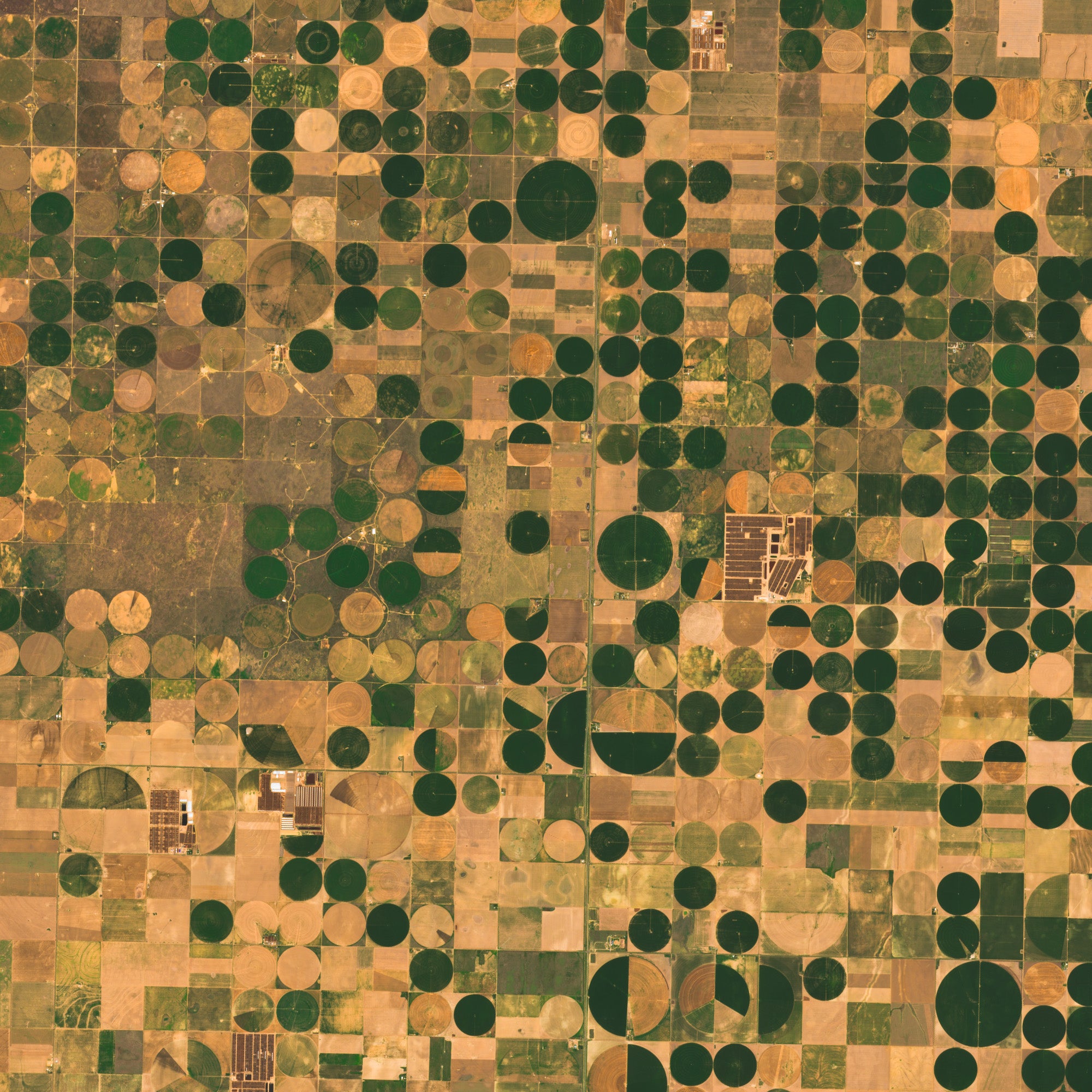 COLORADO — détail