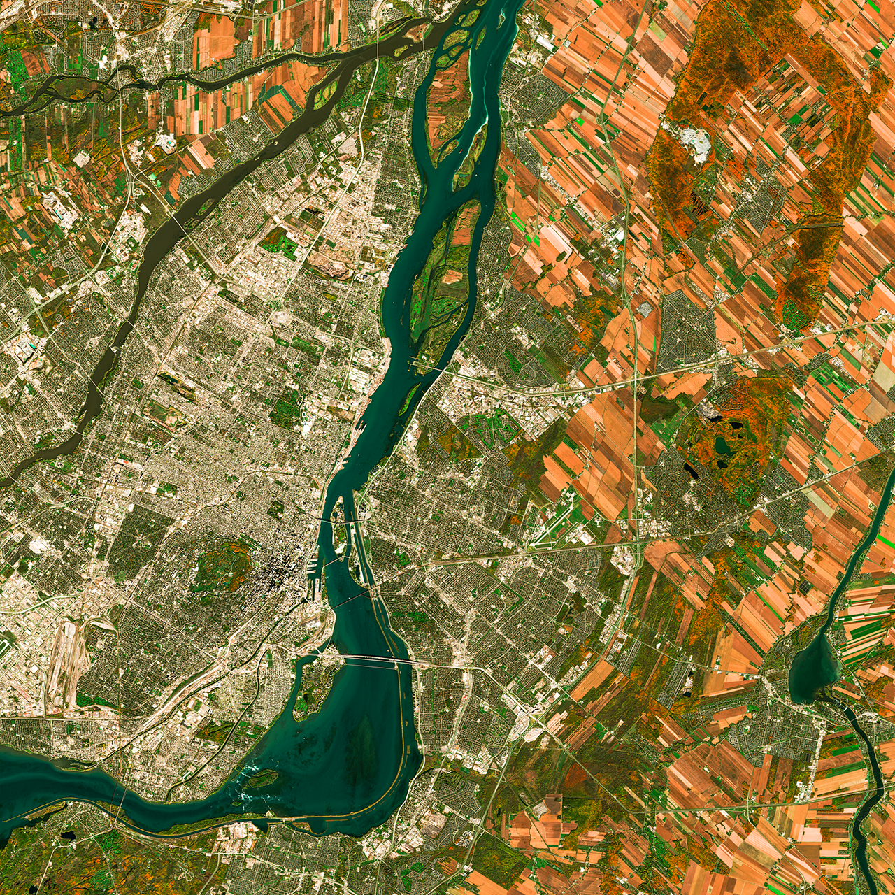 MONTREAL — détail