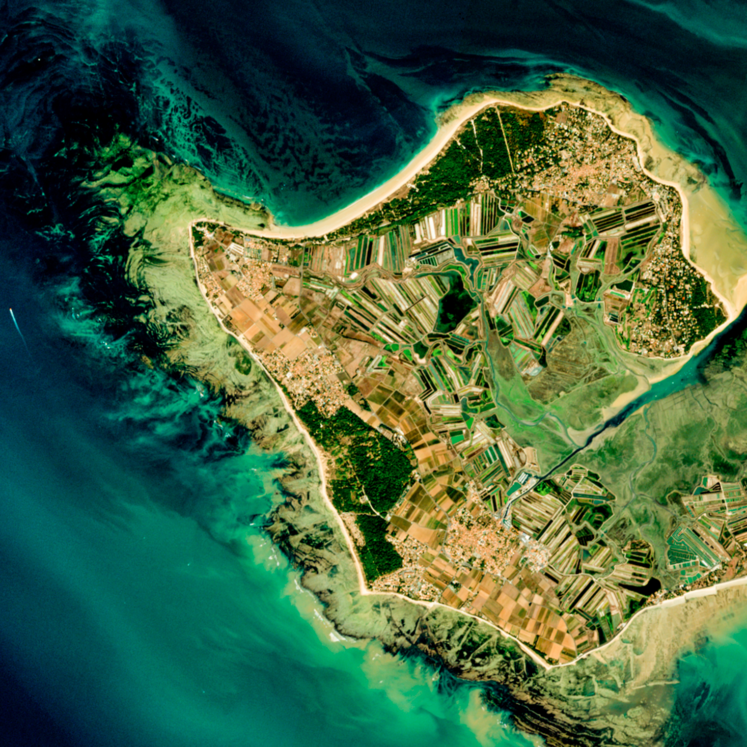 ILE-DE-RE — détail