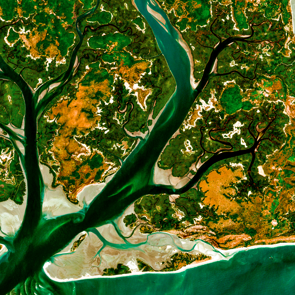 LES-ILES-DE-GUINEE-BISSAU — détail