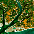 LES-ILES-DE-GUINEE-BISSAU — détail
